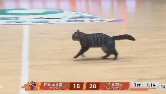 kaiyun sports-5+3！陈国豪暴揍老东家！CBA又一奇葩条款诞生